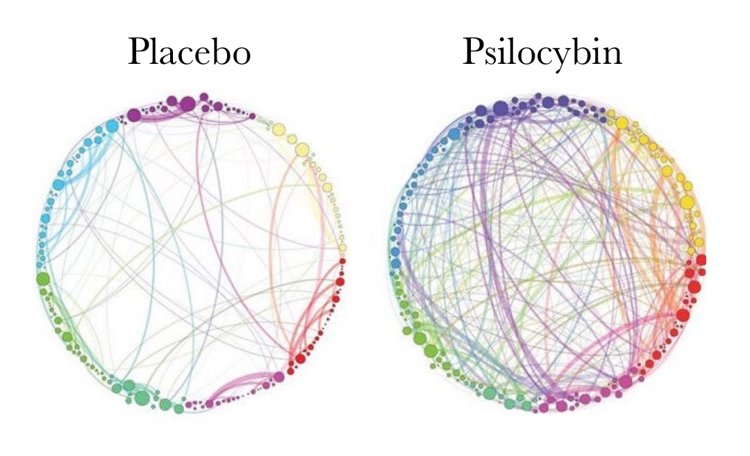 Images of a normal brain and one on the molecule found in psychedelic mushrooms