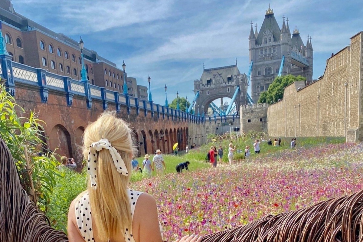 Image for “How to explore the world with confidence”, Finding Your Bliss